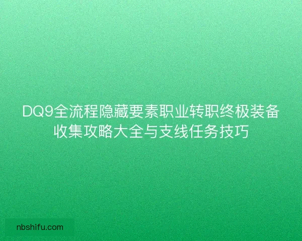 DQ9全流程隐藏要素职业转职终极装备收集攻略大全与支线任务技巧