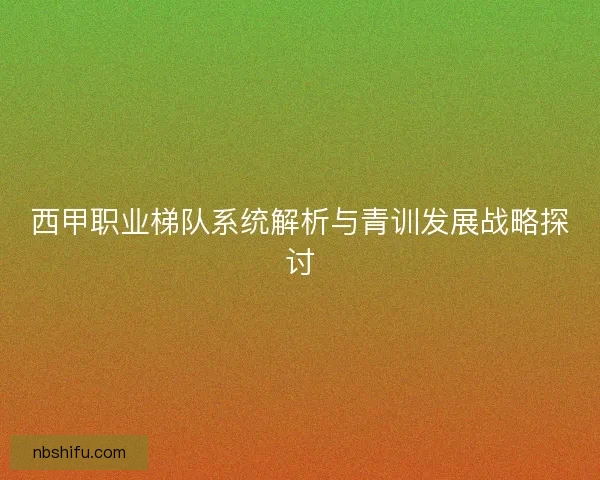 西甲职业梯队系统解析与青训发展战略探讨