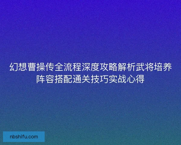 幻想曹操传全流程深度攻略解析武将培养阵容搭配通关技巧实战心得