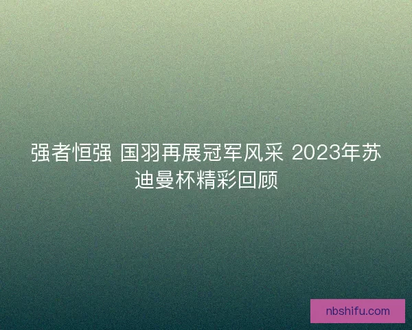 强者恒强 国羽再展冠军风采 2023年苏迪曼杯精彩回顾